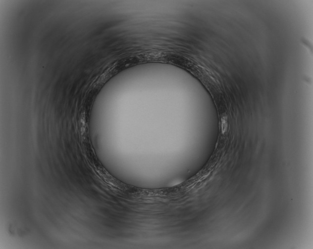 X0000091911011200709051207