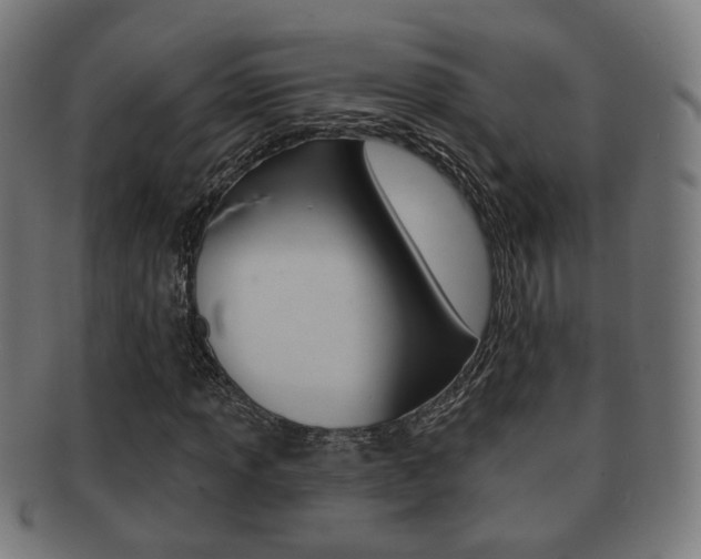 X0000091911013200709051207