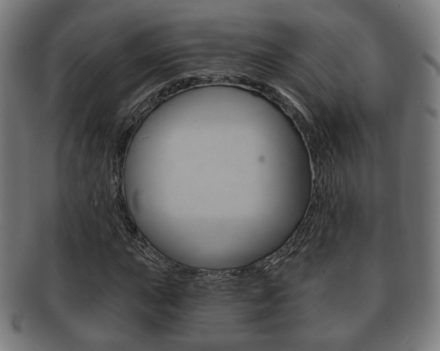 X0000091911015200709051207