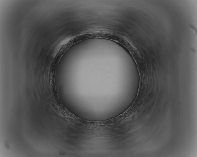 X0000091911016200709051207
