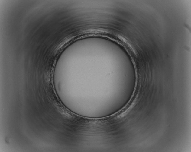 X0000091911017200709051207