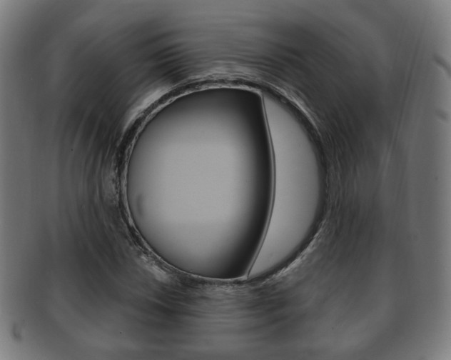 X0000091911018200709051207