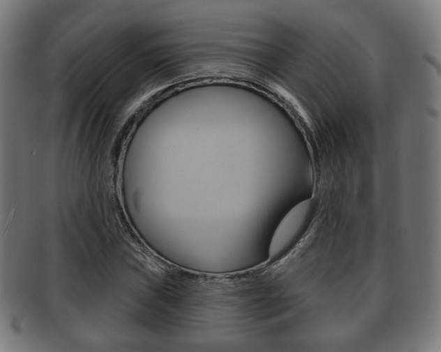 X0000091911019200709051207