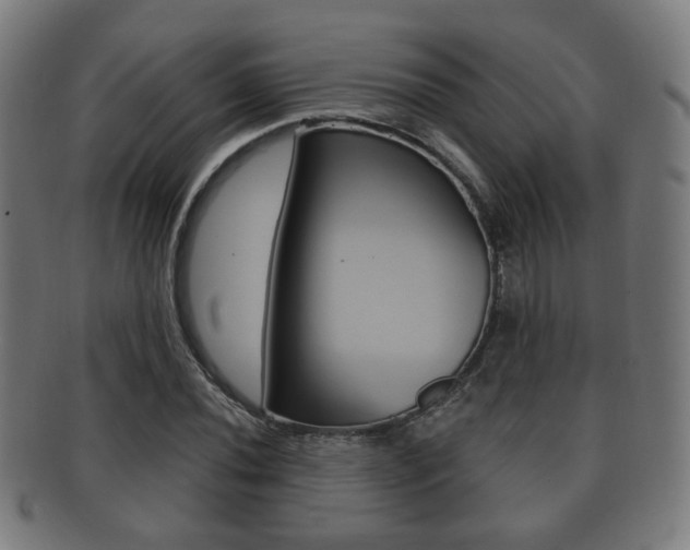 X0000091911020200709051207