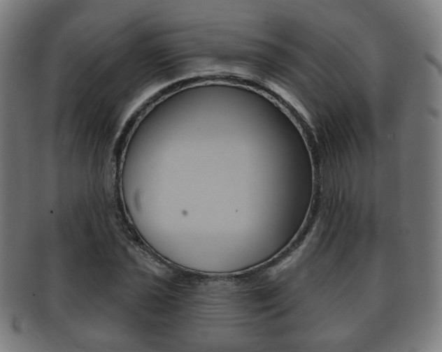 X0000091911021200709051207