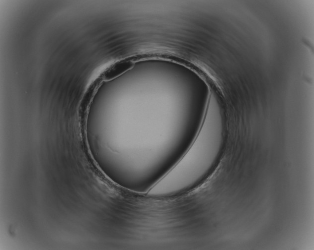 X0000091911022200709051207