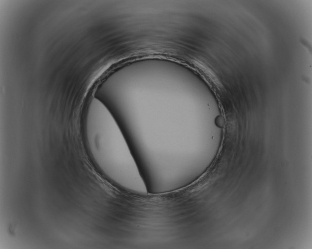 X0000091911023200709051207