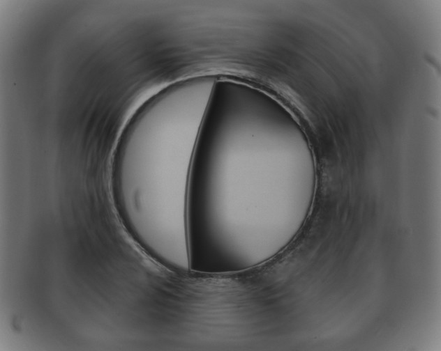 X0000091911024200709051207