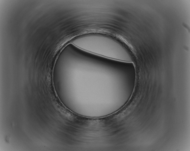 X0000091911025200709051207