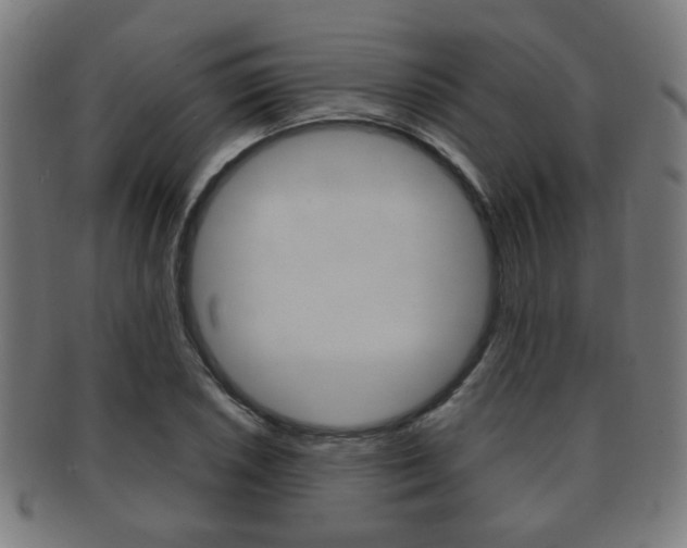 X0000091911026200709051207