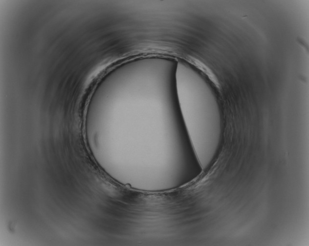 X0000091911027200709051207