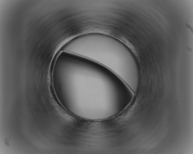 X0000091911028200709051207