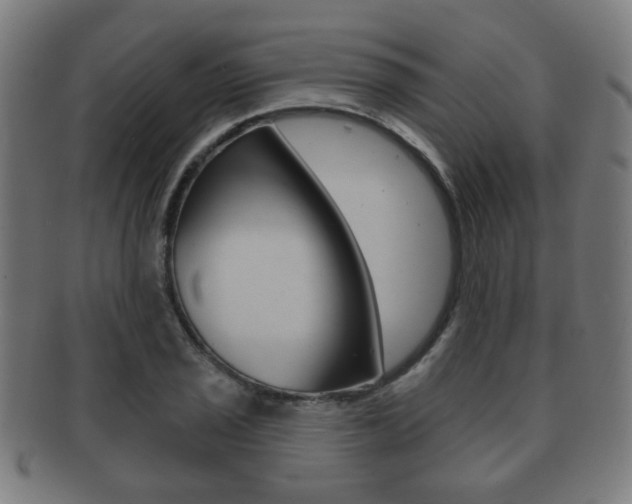 X0000091911029200709051207