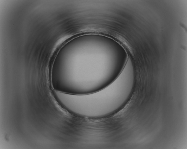 X0000091911030200709051207