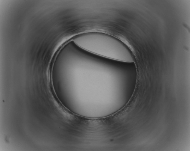 X0000091911032200709051207