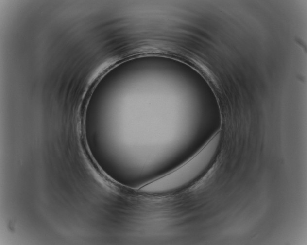 X0000091911034200709051207
