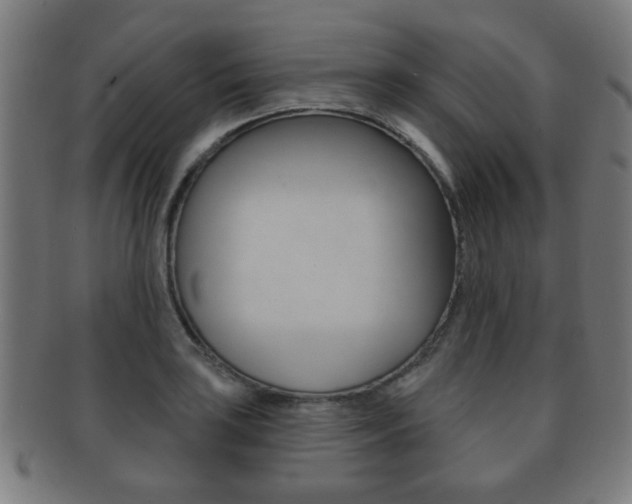 X0000091911035200709051207