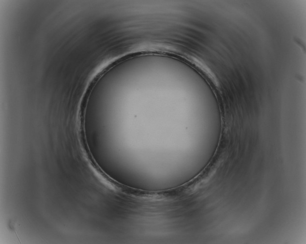X0000091911037200709051207