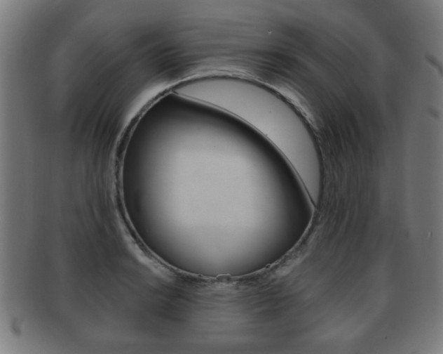 X0000091911038200709051207
