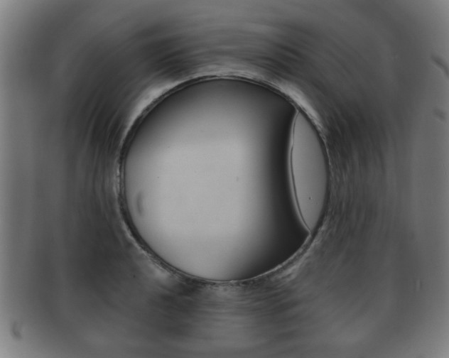 X0000091911040200709051207