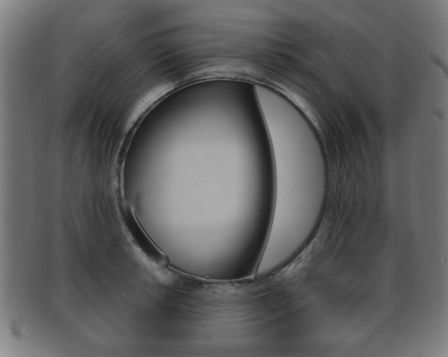 X0000091911042200709051207
