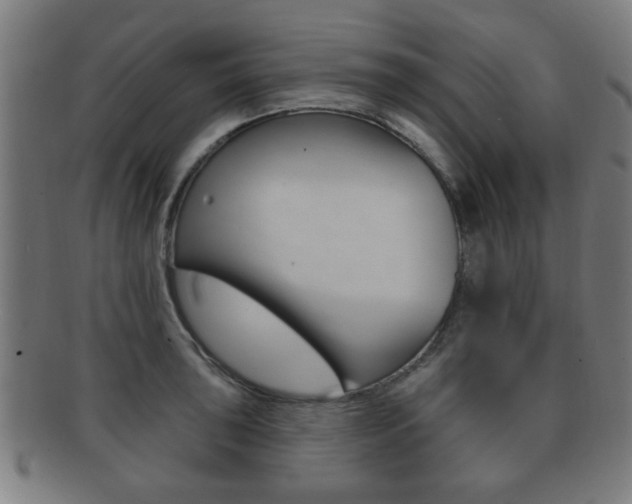 X0000091911043200709051207