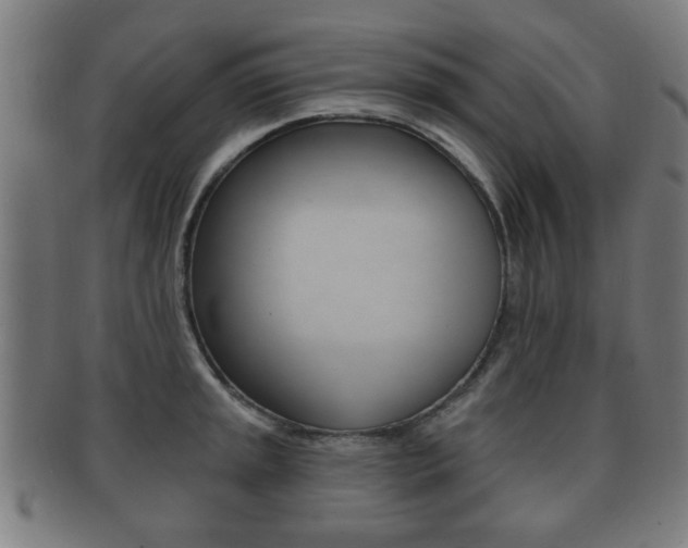 X0000091911045200709051207