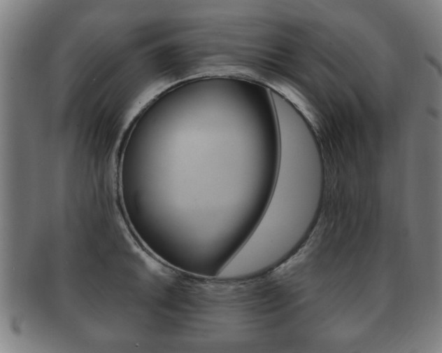 X0000091911046200709051207
