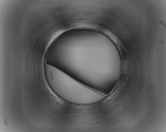 X0000091911048200709051207