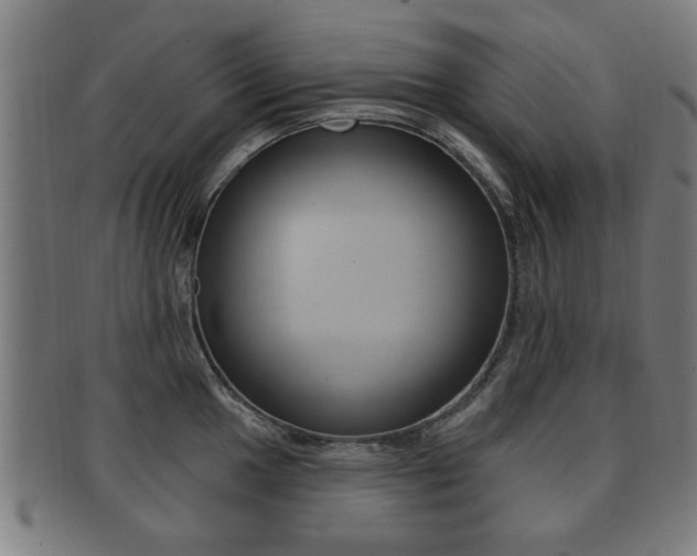 X0000091911049200709051207