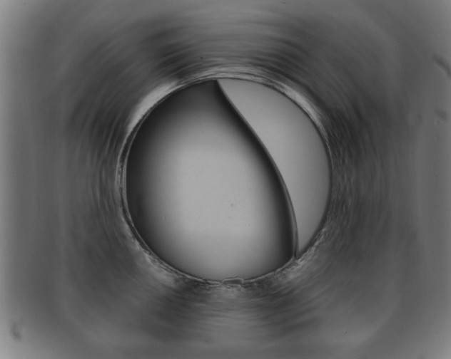 X0000091911050200709051207