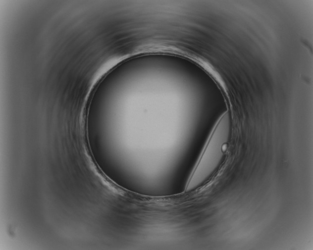 X0000091911053200709051208