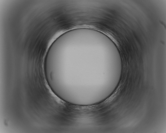 X0000091911054200709051208