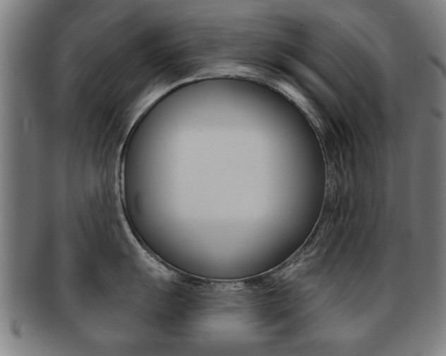 X0000091911055200709051208
