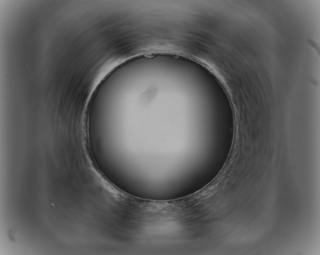 X0000091911056200709051208
