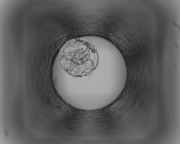 X0000091911057200709051207