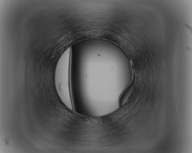 X0000091911058200709051207