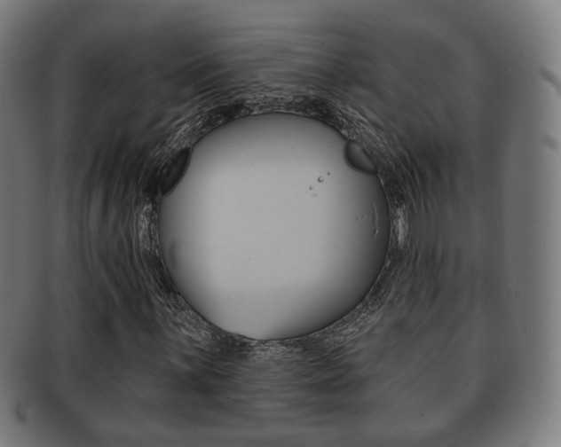 X0000091911059200709051207