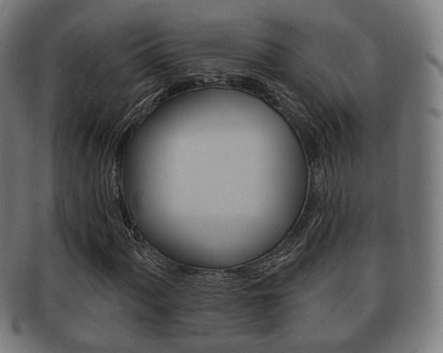 X0000091911060200709051207