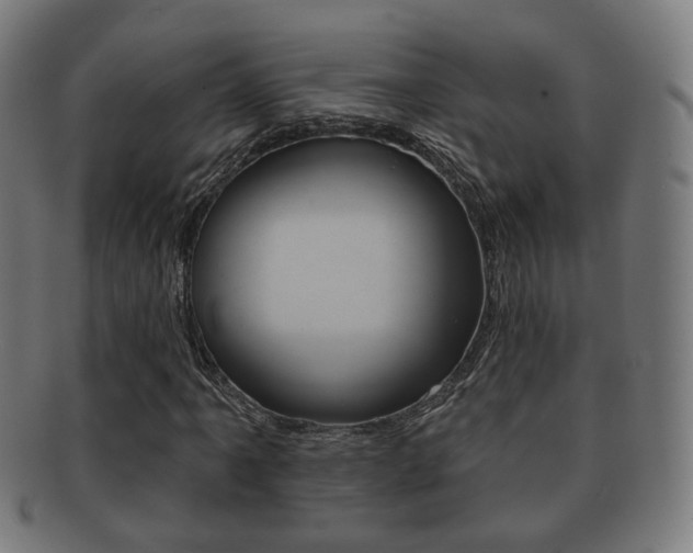 X0000091911061200709051207
