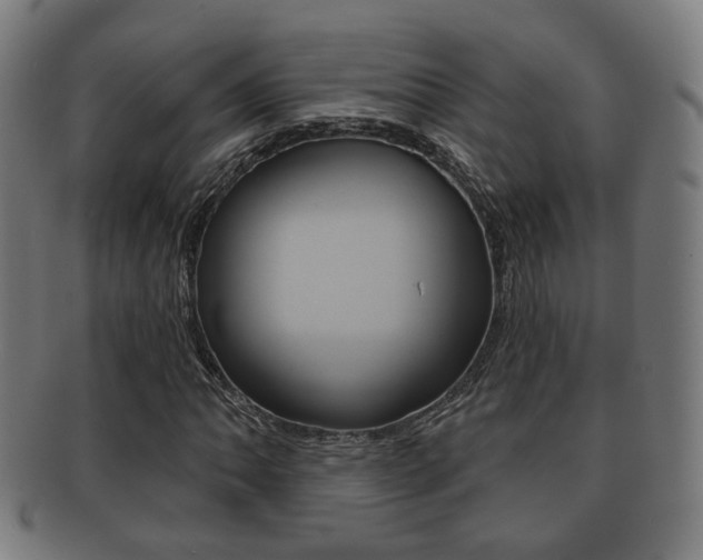 X0000091911062200709051207