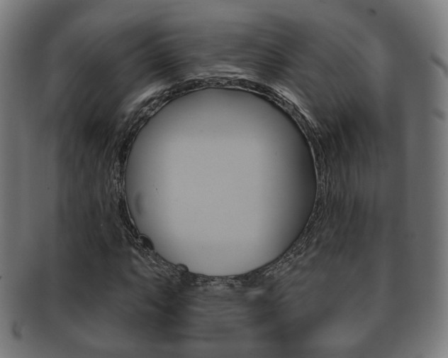 X0000091911063200709051207
