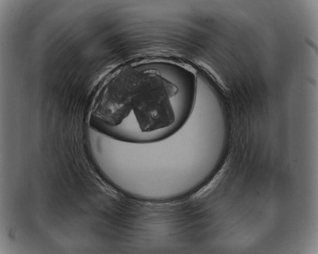X0000091911065200709051207