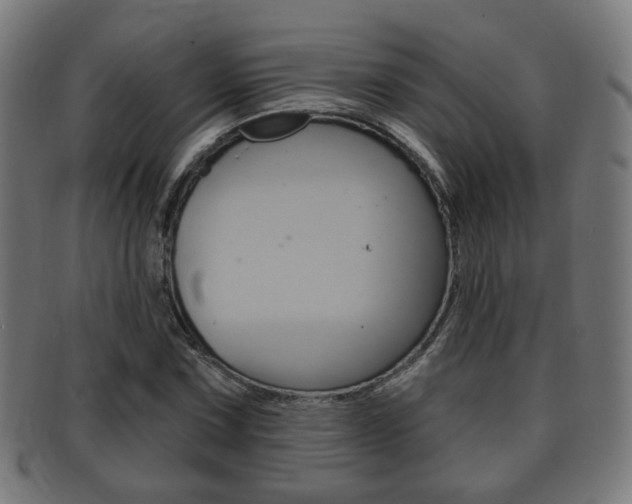 X0000091911067200709051207
