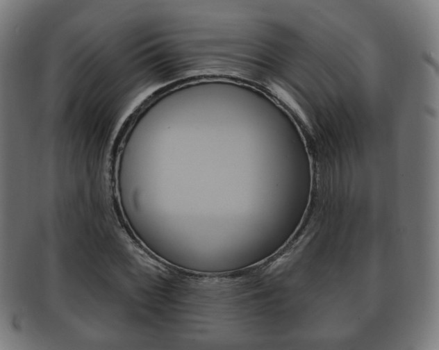 X0000091911068200709051207