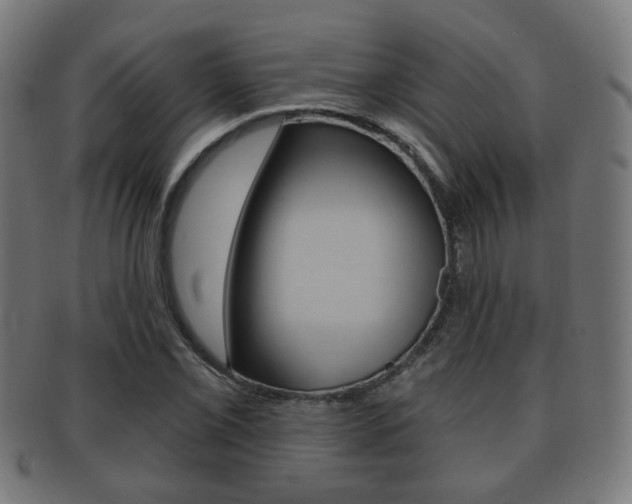 X0000091911069200709051207