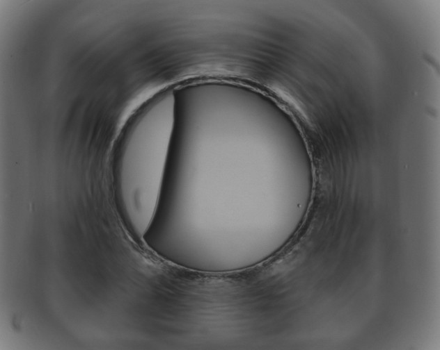 X0000091911070200709051207