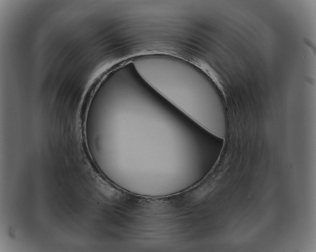 X0000091911072200709051207