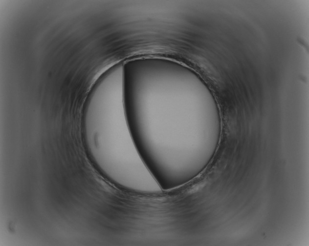 X0000091911073200709051207