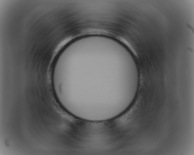 X0000091911074200709051207